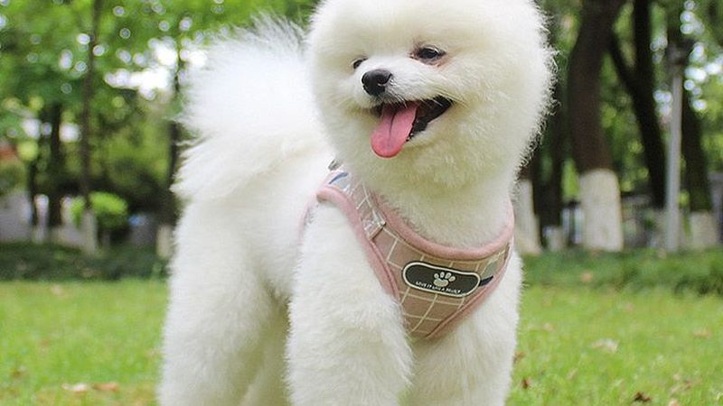 冷库板安装：板与板接缝密封的关键要点**